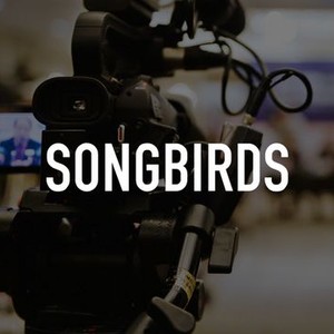 Songbirds photo 1