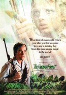 The Emerald Forest poster image