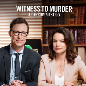 Witness to Murder: A Darrow Mystery photo 10