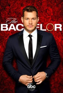 The Bachelor: Season 23 poster image