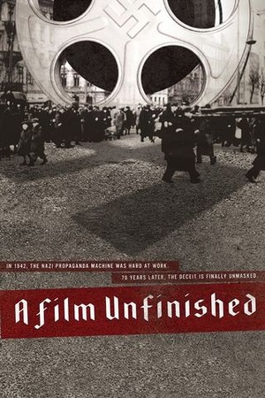 A Film Unfinished poster