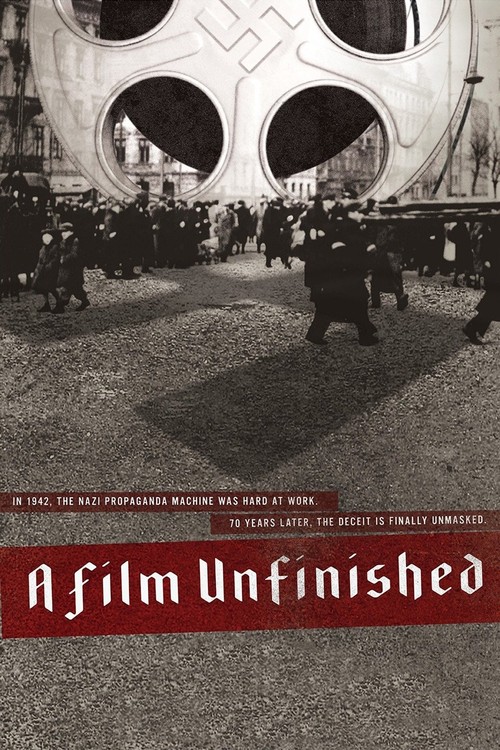 A Film Unfinished poster