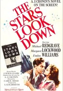 The Stars Look Down poster image