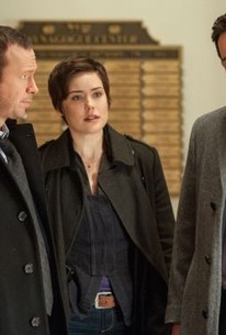 Blue Bloods Season 3 Episode 14 Rotten Tomatoes