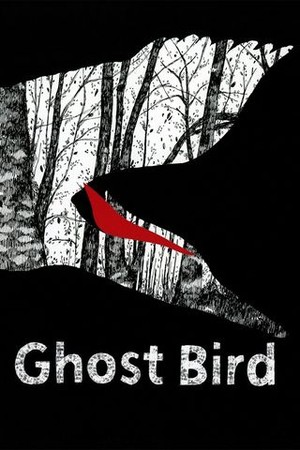 Ghost Bird poster