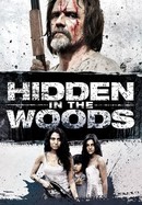 Hidden in the Woods poster image