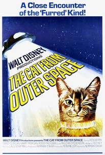 The Cat From Outer Space poster