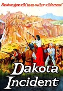 Dakota Incident poster image