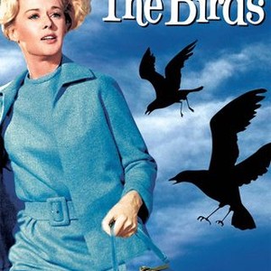 The Birds - Rotten Tomatoes