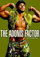 The Adonis Factor poster image