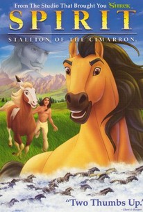 2002 Spirit: Stallion Of The Cimarron