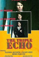 The Triple Echo poster image