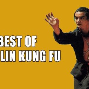 "The Best of Shaolin Kung Fu photo 7"