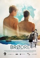 Brothers poster image