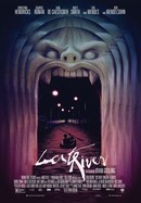 Lost River poster image