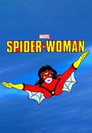 Spider-Woman poster image
