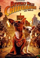 Beverly Hills Chihuahua poster image