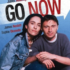 Go Now (1995)