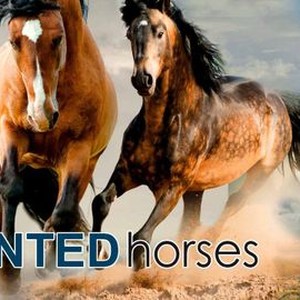 Painted Horses photo 4