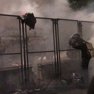 "2020: The Dumpster Fire photo 7"