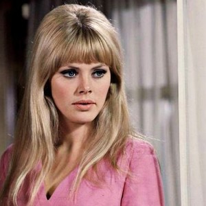The Bobo (1967) photo 1