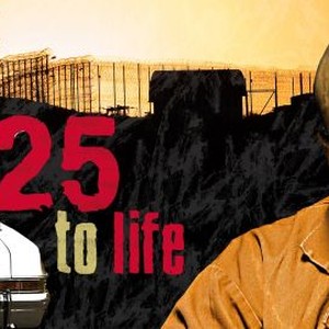 25 to Life photo 8