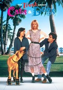 The Truth About Cats & Dogs poster image