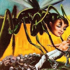 The Wasp Woman photo 12