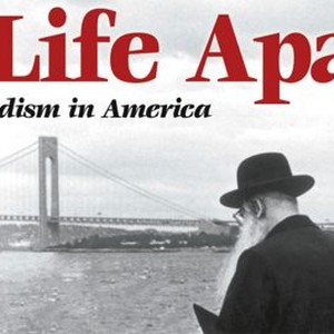A Life Apart: Hasidism in America photo 8