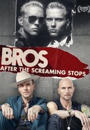 When the Screaming Stops poster image