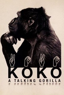 Poster for Koko: A Talking Gorilla