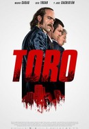 Toro poster image