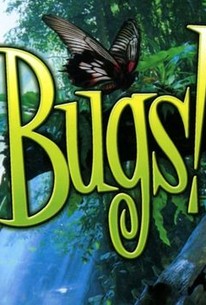 Bugs! (2003) - Rotten Tomatoes