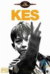 Watch trailer for Kes