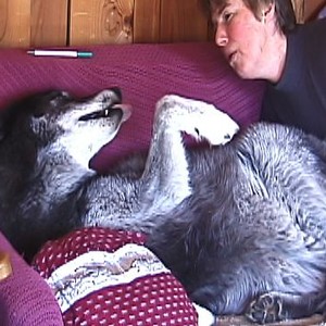 True Wolf photo 3