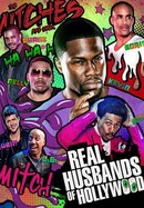 Real Husbands of Hollywood poster image