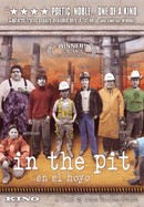 In the Pit poster image
