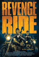 Revenge Ride poster image