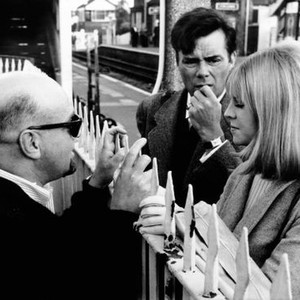 DARLING, from left: director John Schlesinger, Dirk Bogarde (rear), Julie Christie on set, 1965