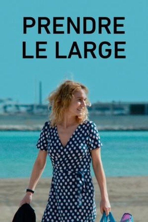 Catch the Wind poster