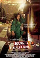 Journey of a Female Comic poster image