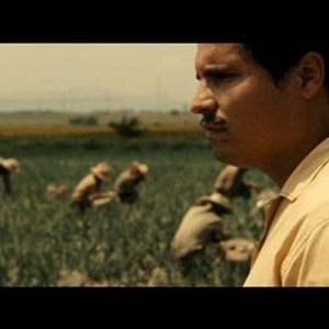 Cesar Chavez Movie Quotes Rotten Tomatoes