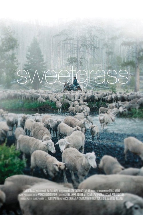Sweetgrass poster