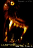 An American Werewolf in Paris poster image