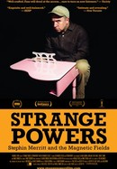 Strange Powers: Stephin Merritt and the Magnetic Fields poster image