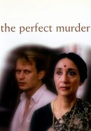 The Perfect Murder poster image
