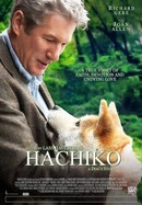 Hachiko: A Dog's Story poster image