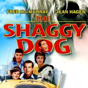 The Shaggy Dog - Rotten Tomatoes