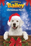 Adventures of Bailey: Christmas Hero poster image