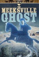 The Meeksville Ghost poster image